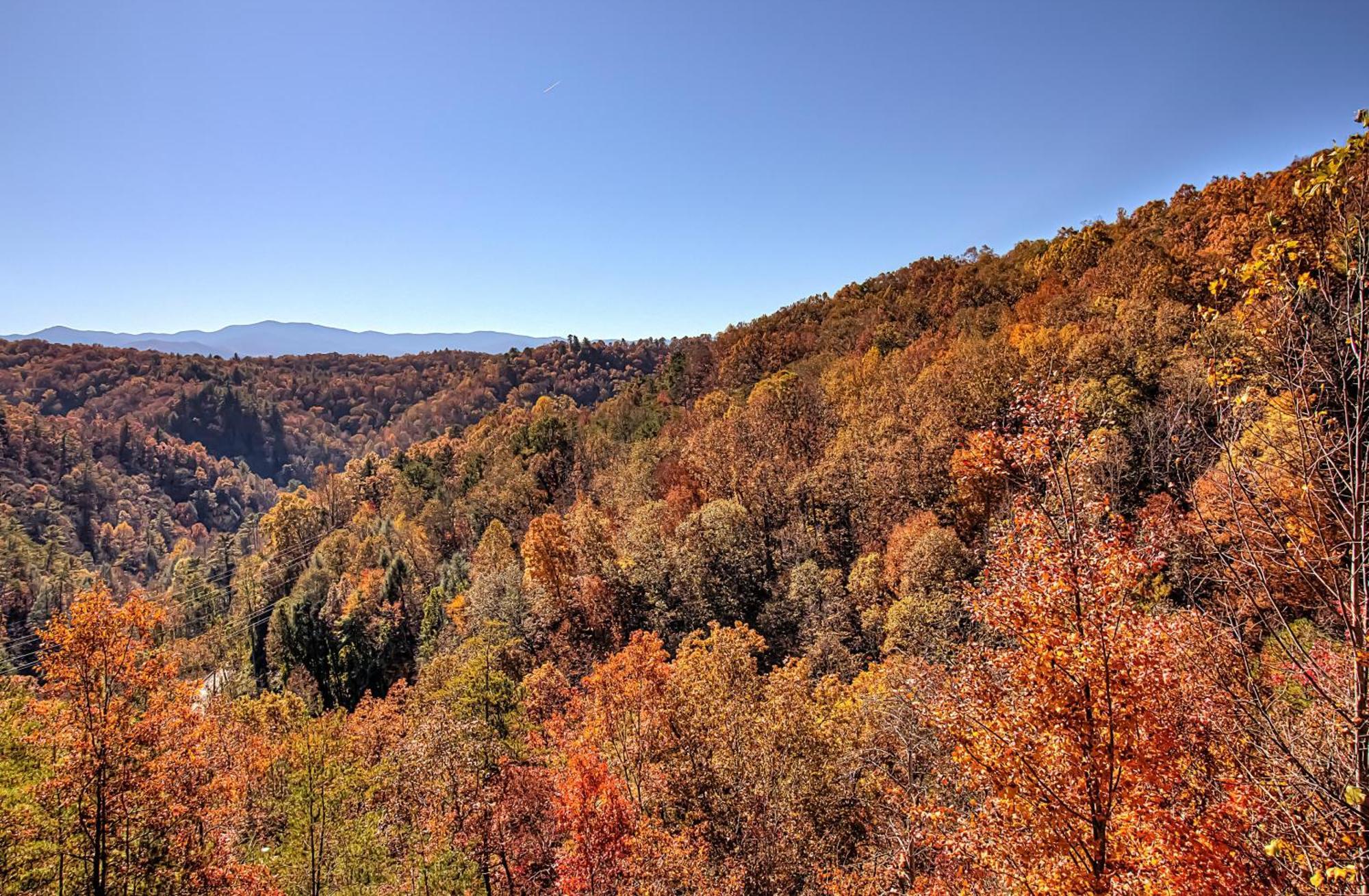 Bearview Heights #244 Βίλα Townsend Εξωτερικό φωτογραφία